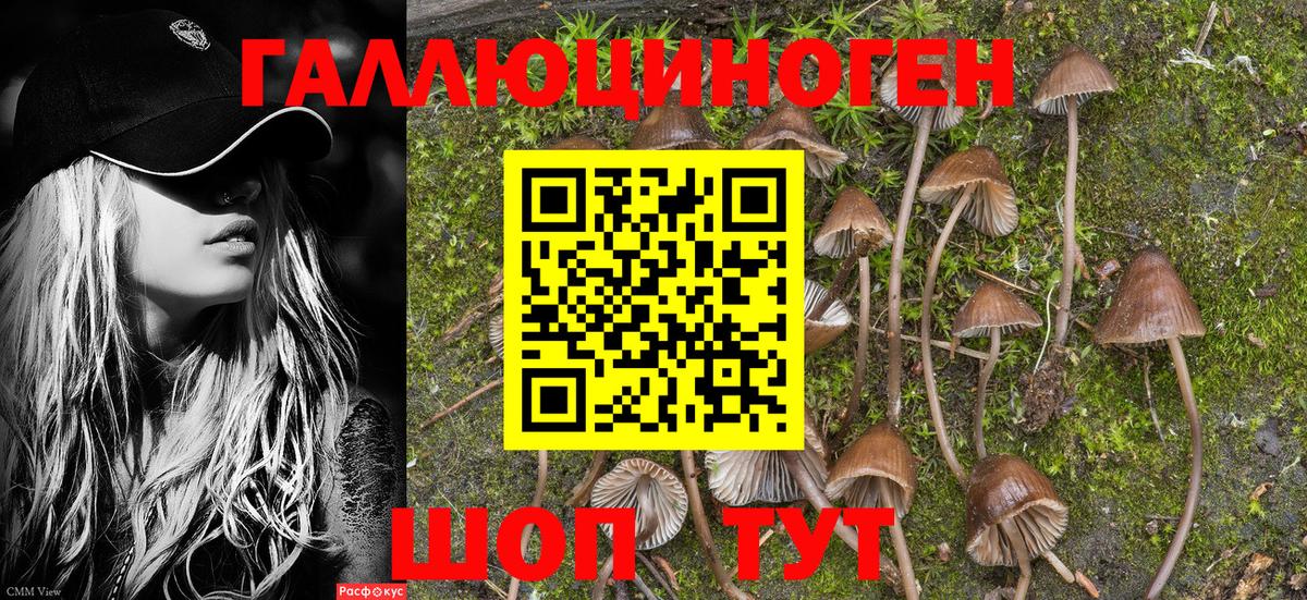 Псилоцибиновые грибы ЛСД  Галлюциногенные грибы Magic Shrooms  Вход с VPN  Каменск-Шахтинский 